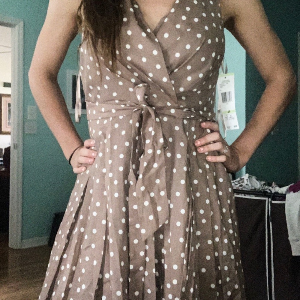 Evan Picone Dress